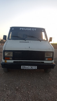 fourgon-peugeot-j5-tlemcen-algerie