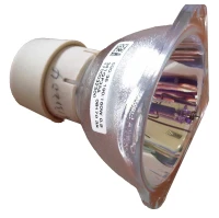 lampe de projection data show compatible original 