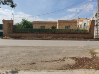 autre-vente-bien-immobilier-relizane-algerie