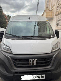 fourgon-fiat-ducato-2024-alger-centre-algerie