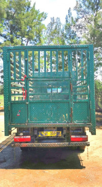 camion-jac-1040-2009-les-eucalyptus-alger-algerie