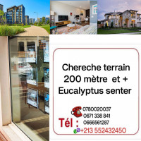 terrain-cherche-achat-alger-les-eucalyptus-algerie