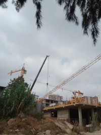 materiaux-de-construction-grue-a-tour-potain-mostaganem-algerie