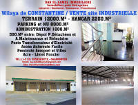 hangar-vente-constantine-algerie