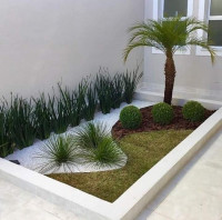 nettoyage-jardinage-decoration-et-amenagement-espace-verts-alger-centre-algerie