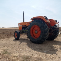 tracteurs-deutz-far-1984-tixter-bordj-bou-arreridj-algerie