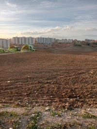 terrain-agricole-vente-constantine-el-khroub-algerie