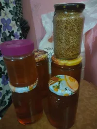 عسل طبيعي حر 100/100 من جبال جيجل