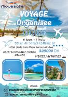 voyage-organise-zanzibar-kouba-alger-algerie