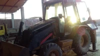 Cat ritro Cat 2005