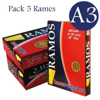 RAMOS GOLDEN Papier Extra Blanc 80 g/m2, A3 Carton de 5 x 500 feuilles