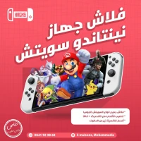 Installation Flash Nintendo Switch (Puce)