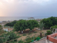 autre-vente-bien-immobilier-jijel-sidi-abdelaziz-algerie