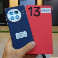 Oneplus 13 (16/512)