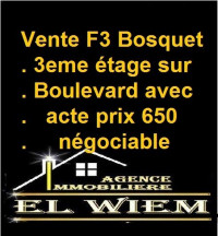 appartement-vente-f3-constantine-algerie