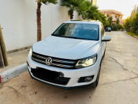 tout-terrain-suv-volkswagen-tiguan-2014-chlef-algerie