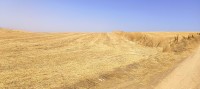 أرض-فلاحية-بيع-البويرة-عين-بسام-الجزائر