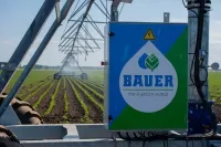 Pivot BAUER