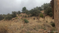 terrain-vente-villa-bordj-bou-arreridj-zemoura-algerie