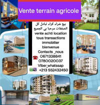 terrain-agricole-vente-djelfa-ain-oussara-algerie