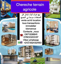 terrain-agricole-cherche-achat-djelfa-ain-oussara-algerie