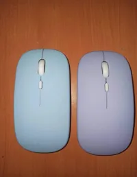 2 Souris bluetooth 
