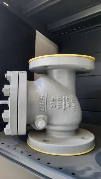 Clapet anti retour à bride cl150/300 