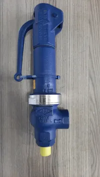 Soupape sécurité vapeur 