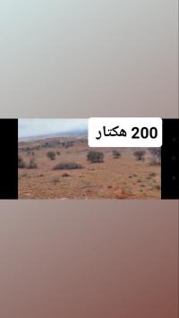 أرض-بيع-تلمسان-مغنية-الجزائر