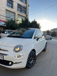 voitures-fiat-500-2023-la-tout-gue-de-constantine-alger-algerie