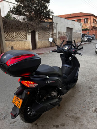 motos-et-scooters-sym-hd-300-2024-blida-algerie