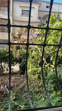 appartement-vente-f4-alger-dely-brahim-algerie