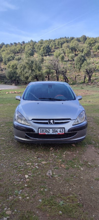 voitures-peugeot-307-2004-tessala-ldematai-mila-algerie