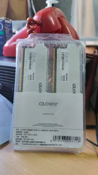 Gloway RAM DDR5 8X2 GB 4800 MHZ CL40
