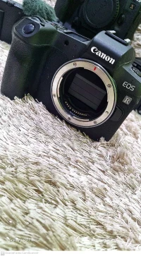 SONY ZV-E10 CANON R SONY MACRO 90 F2.8 CANON 1DX MARK II SONY ZV-1 RF 18.150 