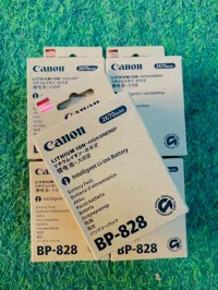 BATTERIE CANNON HAUTE CAPACITE BP-828