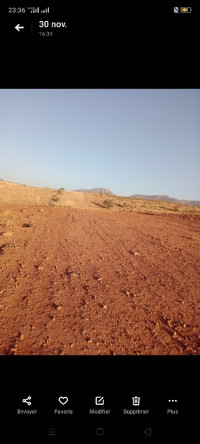 terrain-vente-tlemcen-oued-chouli-algerie