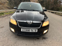 voitures-skoda-fabia-2014-fresh-medea-algerie