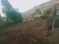 Vente Terrain Tlemcen Beni mester