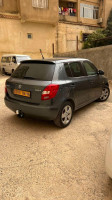 citadine-skoda-fabia-2014-fresh-dely-brahim-alger-algerie