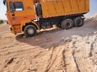 camion-shacman-2019-ghardaia-algerie