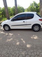 citadine-peugeot-206-2003-ouled-el-alleug-blida-algerie