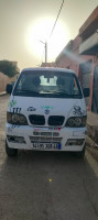 camion-dfsk-2008-relizane-algerie