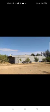 Vente Terrain Tiaret Tiaret