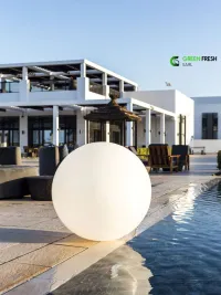 BOULE LUMINEUSE