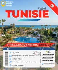 VOYAGE ORGANISE TUNISIE PAR AVION 