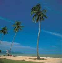 voyage organiser Malaisie Kuala Lumpur/ LANGKAWI    . رحلات ماليزيا 