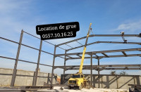 construction-travaux-location-de-la-grue-mobilie-sonacom-c260-كراء-الرافعة-المتحركة-reghaia-alger-algerie