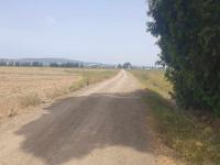 farmland-sell-tipaza-sidi-rached-algeria