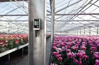 testo 175 H1 - Enregistreur de température et d'humidité autonome